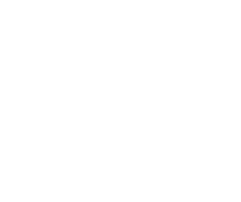 CIC Logo