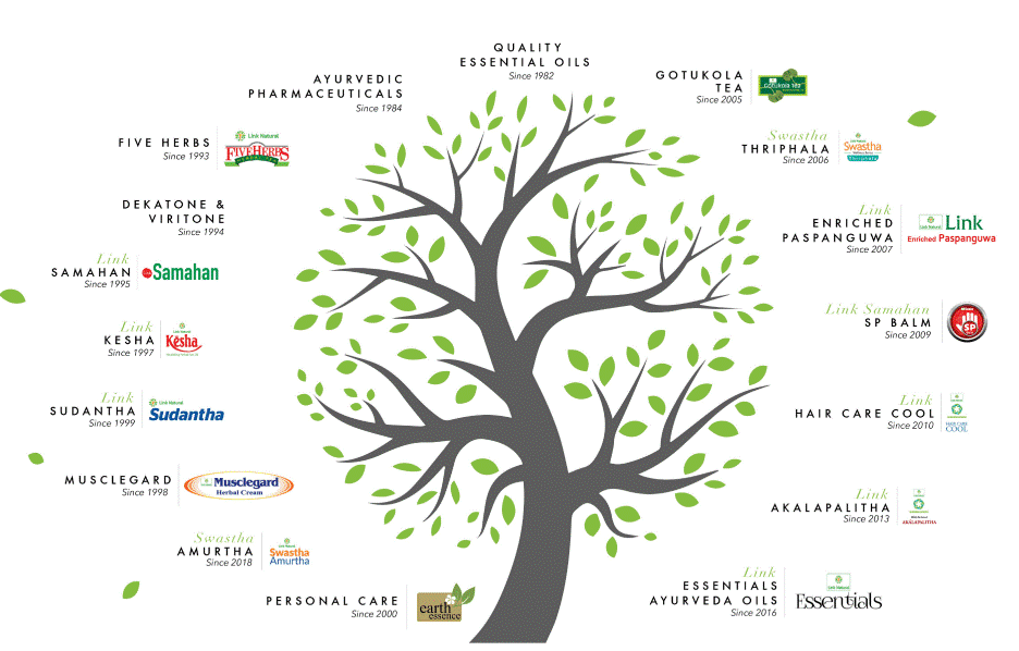 A branching tree that shows the different Personal care brands of CIC holdings