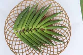 Harvested Okra