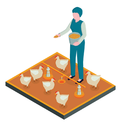 POULTRY PROCESSING PLANT